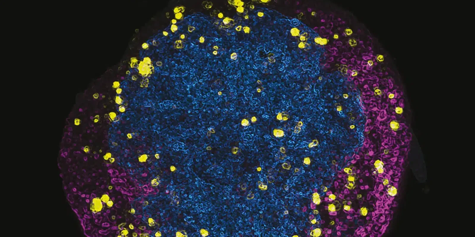 From the Lab Bench … (Part 1 of 2)